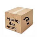 Mystery Box Squishy