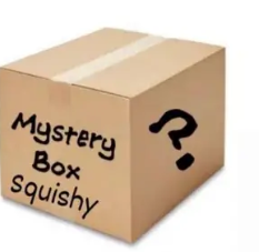 Mystery Box Squishy Grande